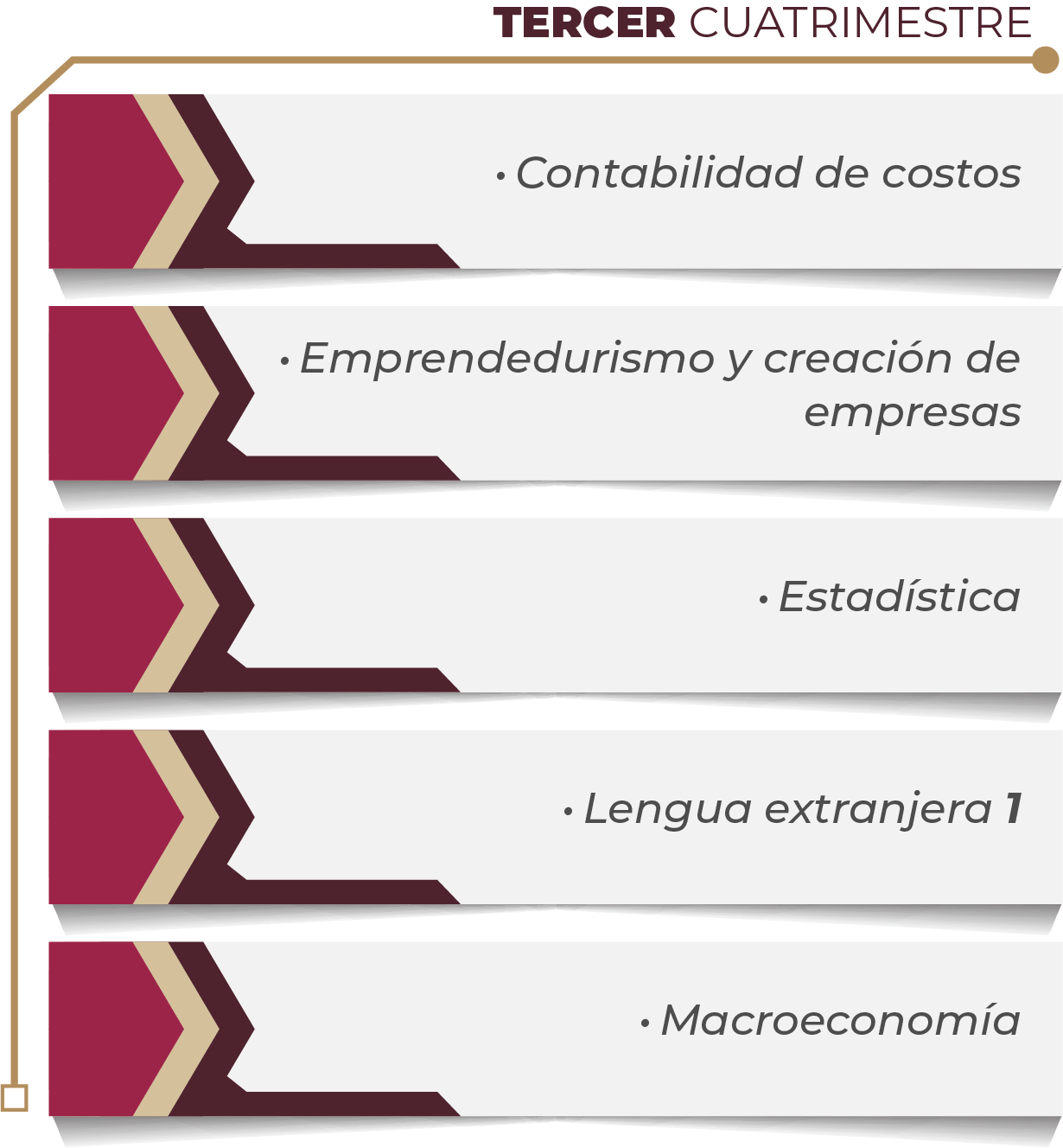 MAPA CURRICULAR GESTIÓN